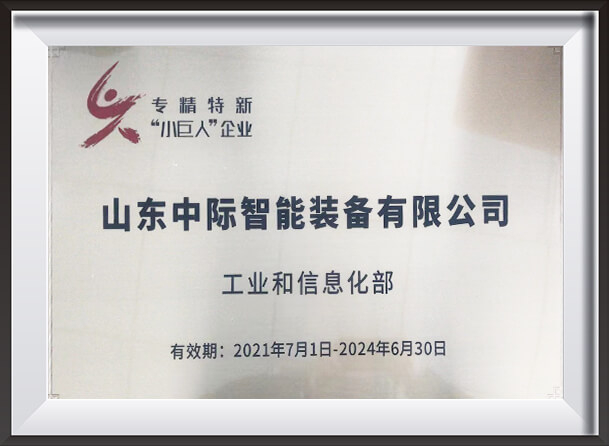 国家专精特新小巨人企业